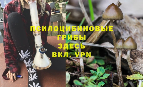 твердый Баксан