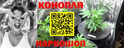 spice Волжский