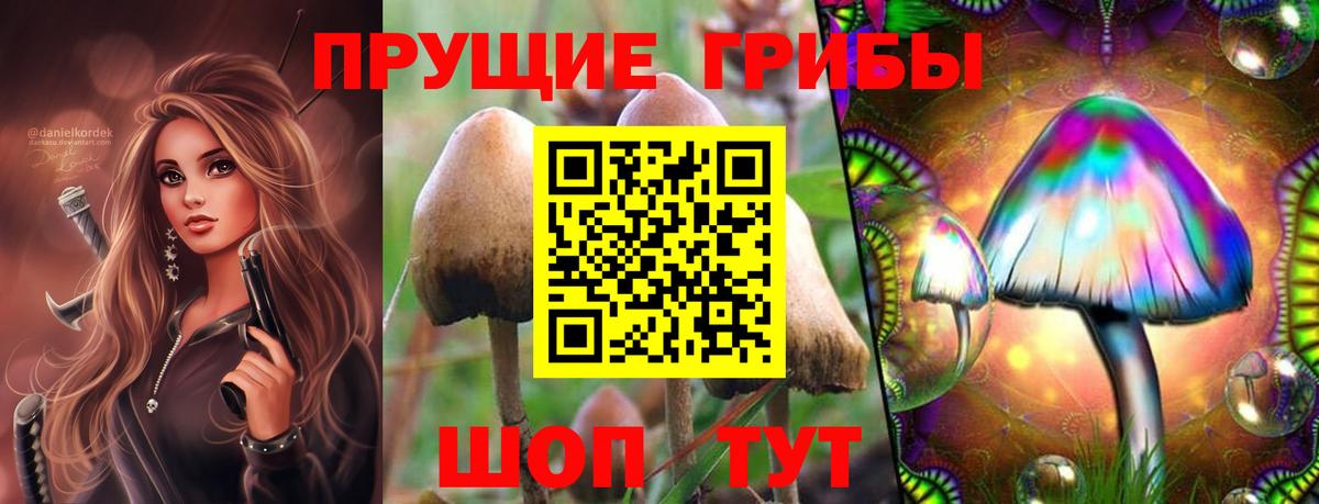 Вольск  Псилоцибиновые грибы Psilocybine cubensis  Псилоцибиновые грибы Magic Shrooms  Вход с VPN 